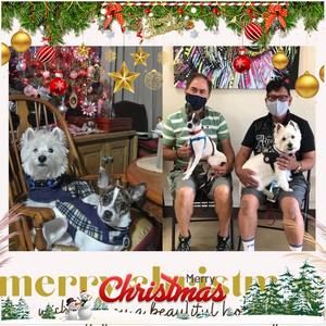 Meet your Posher, Norman